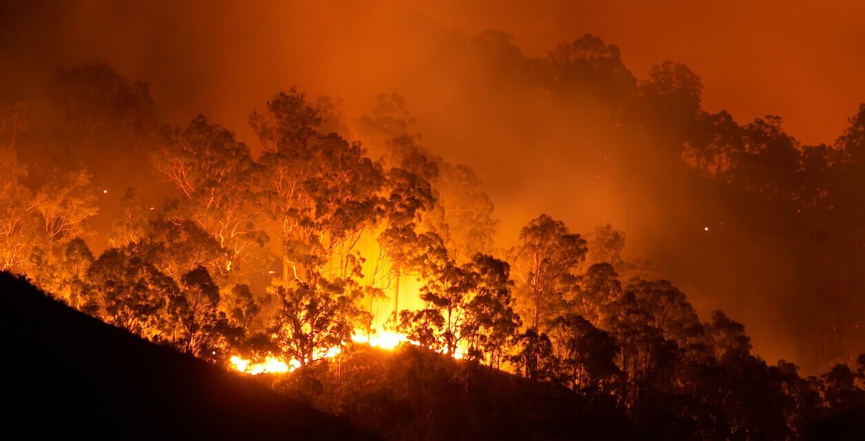 Bosbranden Australië